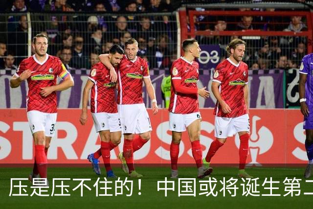 压是压不住的！中国或将诞生第二个华为