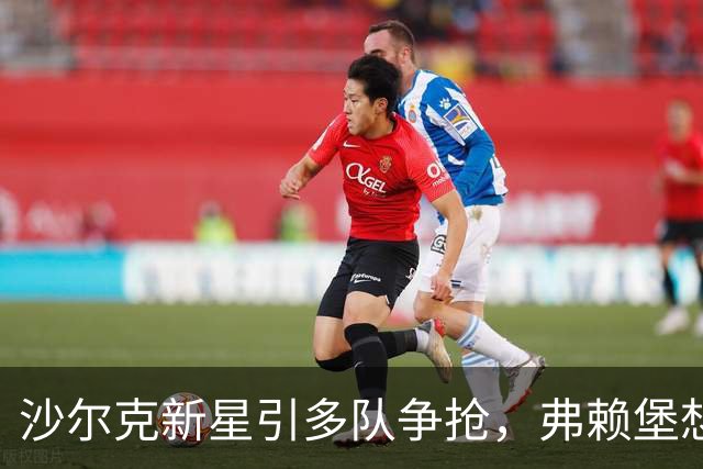 沙尔克新星引多队争抢，弗赖堡想挖人却撞上长约