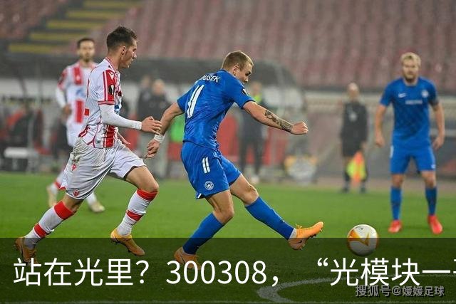 站在光里？300308，“光模块一哥”，Q3净利大增173%，环比增长放缓