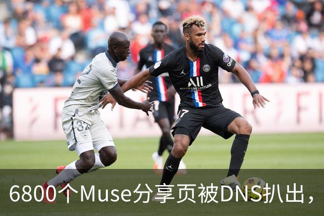 6800个Muse分享页被DNS扒出，Meta紧急暂停